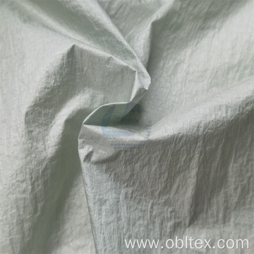 OBLHD002 Nylon High Density Fabric For Down Coat